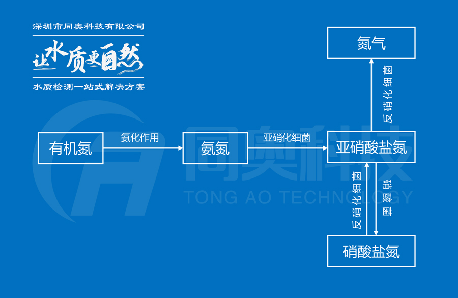 水體中氨氮、亞硝酸鹽氮、硝酸鹽氮之間的轉(zhuǎn)換關(guān)系
