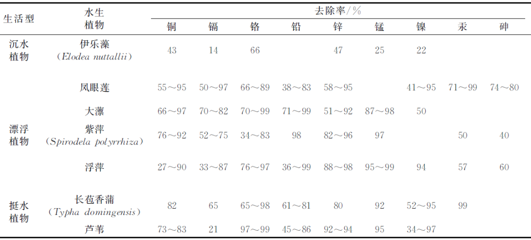 ▽表2 重金屬去除率較好的水生植物