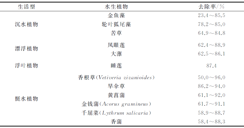 ▽表3 COD去除率較好的水生植物